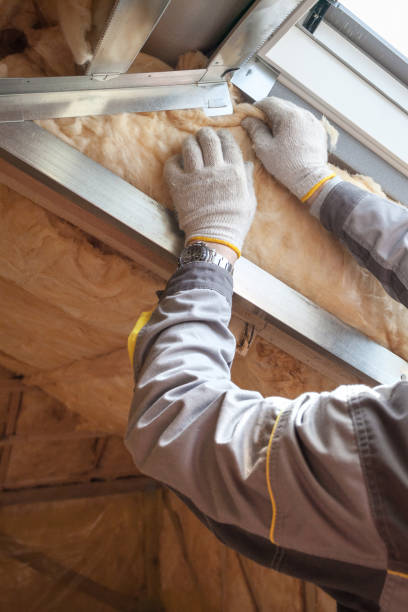 Best Garage Insulation Installation  in Morton Grove, IL