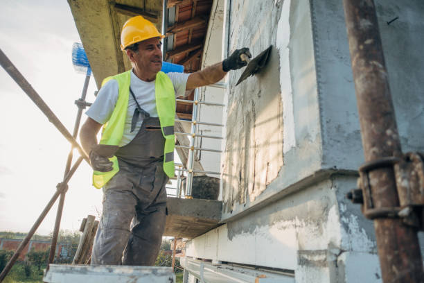 Best Cellulose Insulation  in Morton Grove, IL