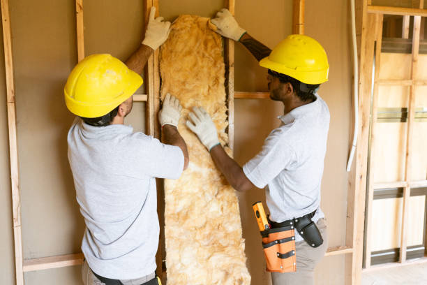 Best Insulation Removal  in Morton Grove, IL