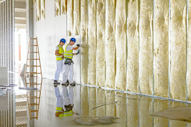 Best Local Insulation Services  in Morton Grove, IL